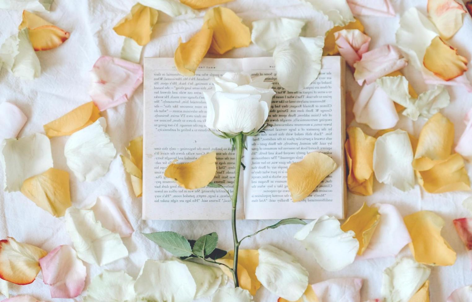 Düğün çiçek düzenlemesi